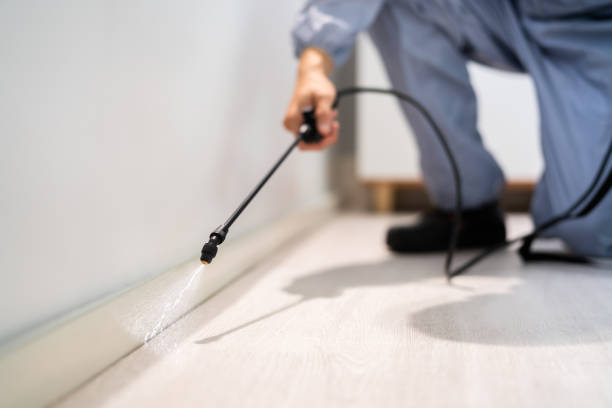 Licensed Pest Control service in Reno, TX - Show Me Pest Control