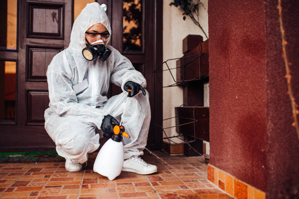 Reliable Wasp Removal contractor in Reno, TX by Show Me Pest Control